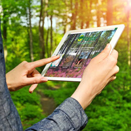 Contract to monitor a forest estate